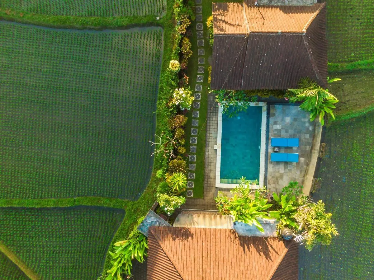 Ubud Glassy Villa By Pramana Villas